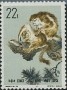 动物:亚洲:中国:cn196326.jpg