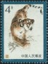 动物:亚洲:中国:cn197904.jpg