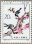 动物:亚洲:中国:cn198204.jpg