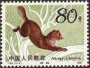 动物:亚洲:中国:cn198208.jpg