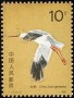 动物:亚洲:中国:cn198602.jpg