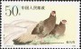 动物:亚洲:中国:cn198902.jpg