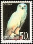 动物:亚洲:中国:cn199503.jpg