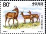 动物:亚洲:中国:cn199902.jpg