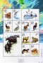 动物:亚洲:中国:cn200111.jpg