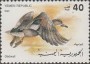动物:亚洲:也门:ye199004.jpg