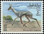 动物:亚洲:卡塔尔:qa199602.jpg