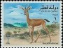 动物:亚洲:卡塔尔:qa199604.jpg