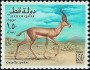 动物:亚洲:卡塔尔:qa199605.jpg