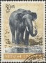 动物:亚洲:印度:in196303.jpg