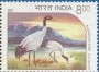 动物:亚洲:印度:in199403.jpg