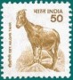 动物:亚洲:印度:in200008.jpg