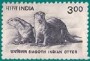 动物:亚洲:印度:in200010.jpg