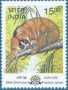 动物:亚洲:印度:in200019.jpg