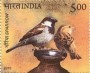 动物:亚洲:印度:in201002.jpg