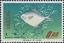 动物:亚洲:台湾:tw196502.jpg