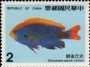 动物:亚洲:台湾:tw198602.jpg