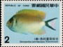动物:亚洲:台湾:tw198607.jpg