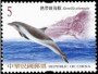 动物:亚洲:台湾:tw200619.jpg