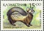 动物:亚洲:哈萨克斯坦:kz199303.jpg