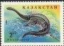 动物:亚洲:哈萨克斯坦:kz199410.jpg