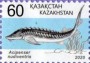 动物:亚洲:哈萨克斯坦:kz202004.jpg