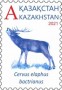 动物:亚洲:哈萨克斯坦:kz202103.jpg