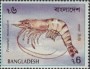 动物:亚洲:孟加拉国:bd199105.jpg