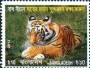 动物:亚洲:孟加拉国:bd201301.jpg
