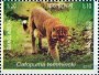动物:亚洲:孟加拉国:bd201601.jpg