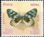 动物:亚洲:尼泊尔:np197404.jpg