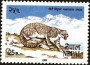 动物:亚洲:尼泊尔:np198402.jpg