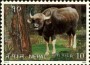 动物:亚洲:尼泊尔:np199501.jpg