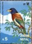 动物:亚洲:尼泊尔:np199602.jpg