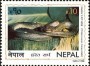动物:亚洲:尼泊尔:np199804.jpg