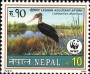 动物:亚洲:尼泊尔:np200002.jpg