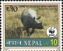 动物:亚洲:尼泊尔:np200003.jpg
