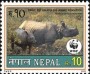 动物:亚洲:尼泊尔:np200004.jpg