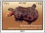 动物:亚洲:尼泊尔:np201102.jpg
