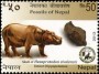 动物:亚洲:尼泊尔:np201301.jpg