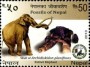动物:亚洲:尼泊尔:np201302.jpg