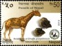 动物:亚洲:尼泊尔:np201303.jpg