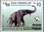 动物:亚洲:尼泊尔:np201504.jpg