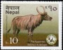 动物:亚洲:尼泊尔:np201701.jpg