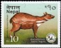 动物:亚洲:尼泊尔:np201702.jpg