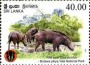 动物:亚洲:斯里兰卡:lk201305.jpg