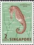 动物:亚洲:新加坡:sg196201.jpg