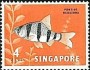 动物:亚洲:新加坡:sg196202.jpg