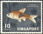 动物:亚洲:新加坡:sg196205.jpg