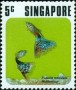 动物:亚洲:新加坡:sg197401.jpg